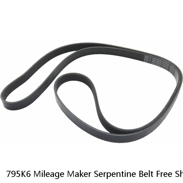 795K6 Mileage Maker Serpentine Belt Free Shipping Free Returns 6PK2020