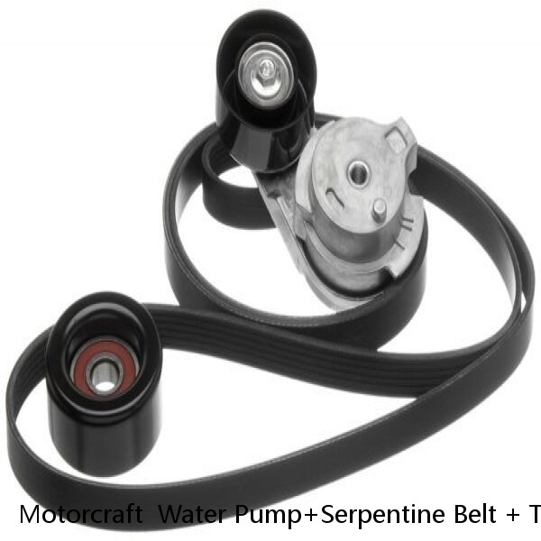Motorcraft  Water Pump+Serpentine Belt + Tensioner + Pulley 06-11 CROWN VICTORIA