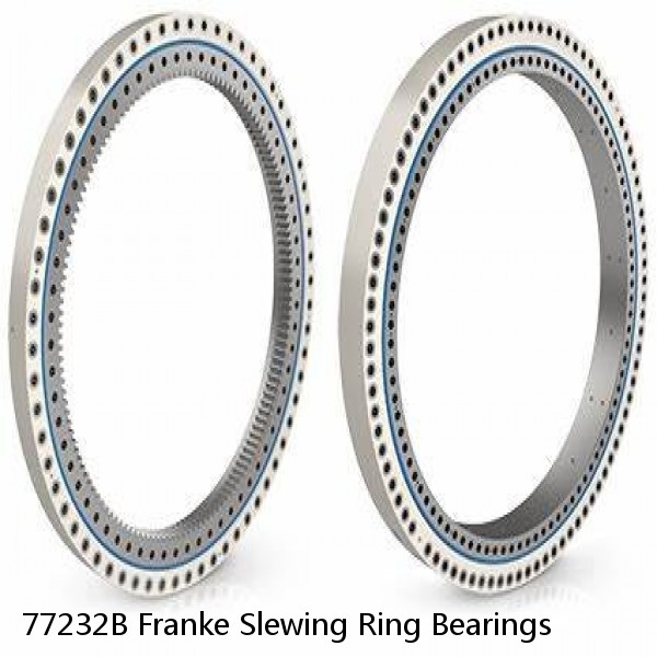 77232B Franke Slewing Ring Bearings #1 small image