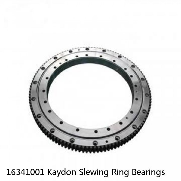 16341001 Kaydon Slewing Ring Bearings #1 small image