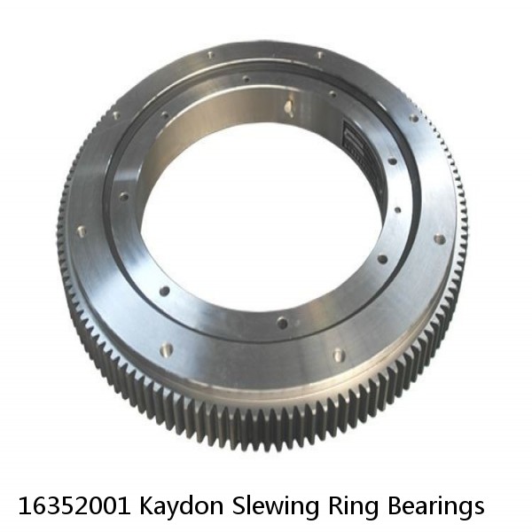 16352001 Kaydon Slewing Ring Bearings #1 small image