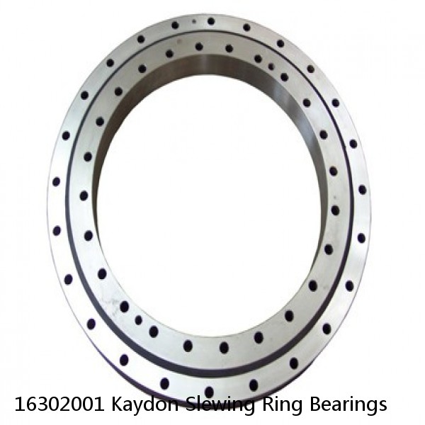 16302001 Kaydon Slewing Ring Bearings #1 small image