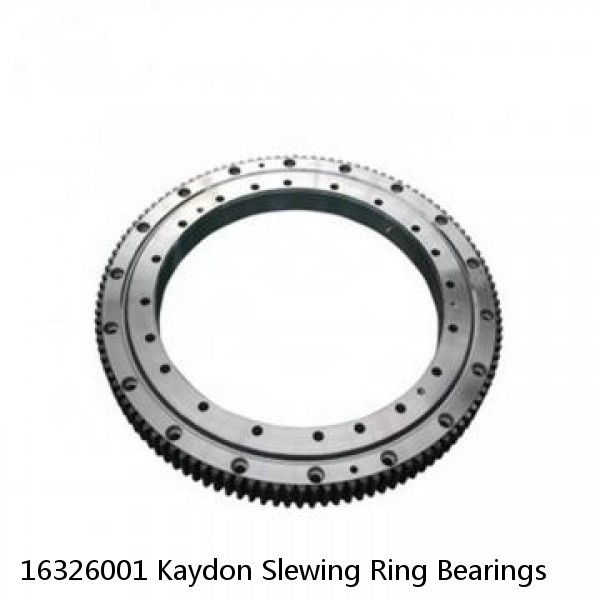 16326001 Kaydon Slewing Ring Bearings #1 small image