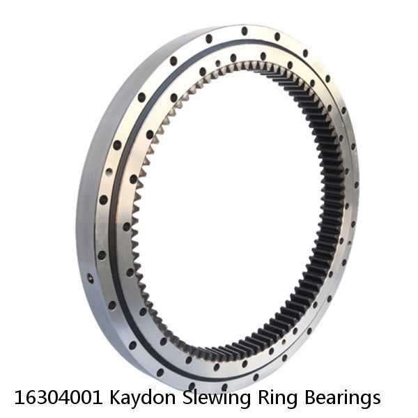 16304001 Kaydon Slewing Ring Bearings #1 small image