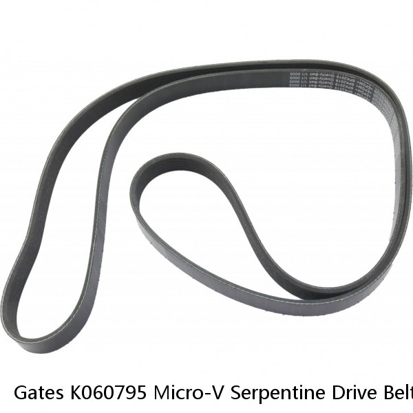 Gates K060795 Micro-V Serpentine Drive Belt, Black