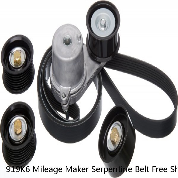 919K6 Mileage Maker Serpentine Belt Free Shipping Free Returns 6PK2335 #1 small image
