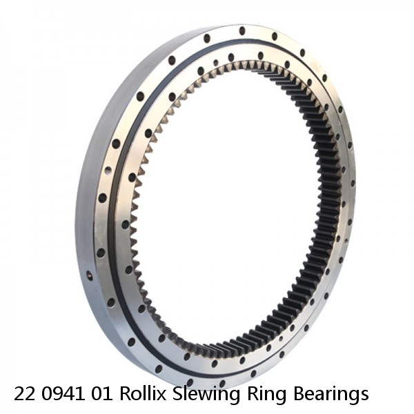 22 0941 01 Rollix Slewing Ring Bearings #1 image