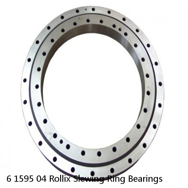 6 1595 04 Rollix Slewing Ring Bearings #1 image