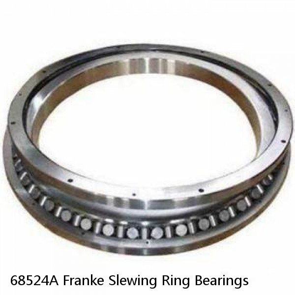 68524A Franke Slewing Ring Bearings #1 image