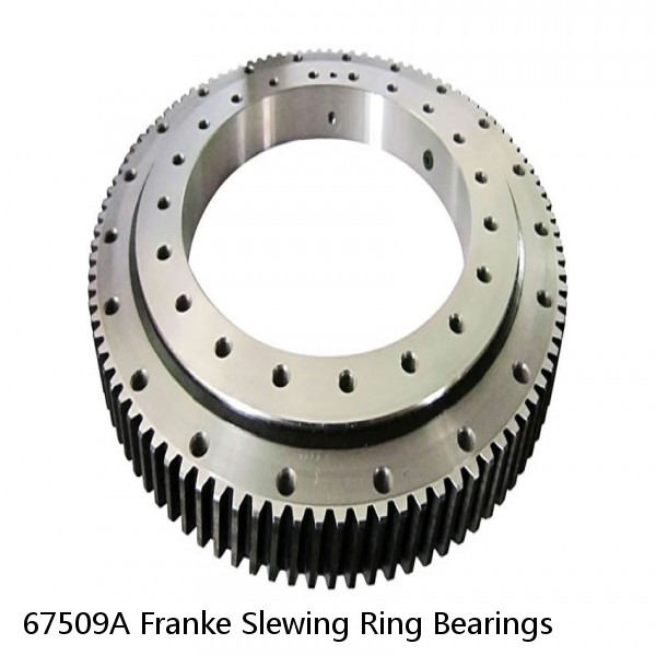 67509A Franke Slewing Ring Bearings #1 image