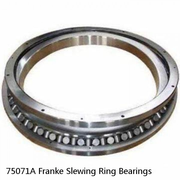75071A Franke Slewing Ring Bearings #1 image