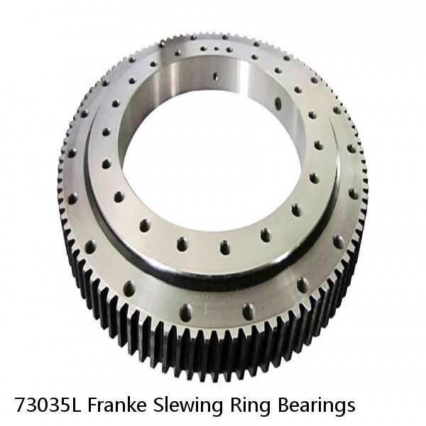 73035L Franke Slewing Ring Bearings #1 image