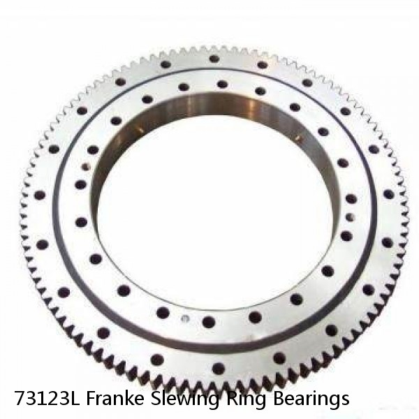73123L Franke Slewing Ring Bearings #1 image