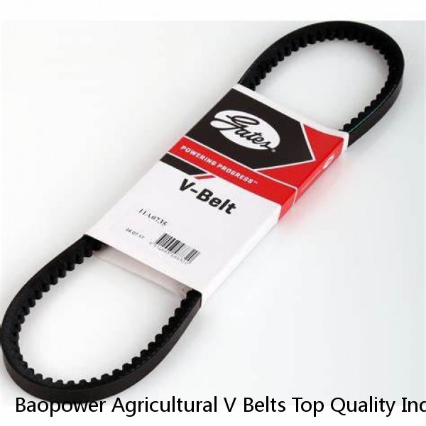Baopower Agricultural V Belts Top Quality Industrial Wear-resistant Flat Drive Rubber Size Chart V Belt #1 image