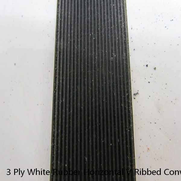 3 Ply White Rubber Horizontal V Ribbed Conveyor Belt 12Ft X 10-1/4" 0.155" Thick #1 image