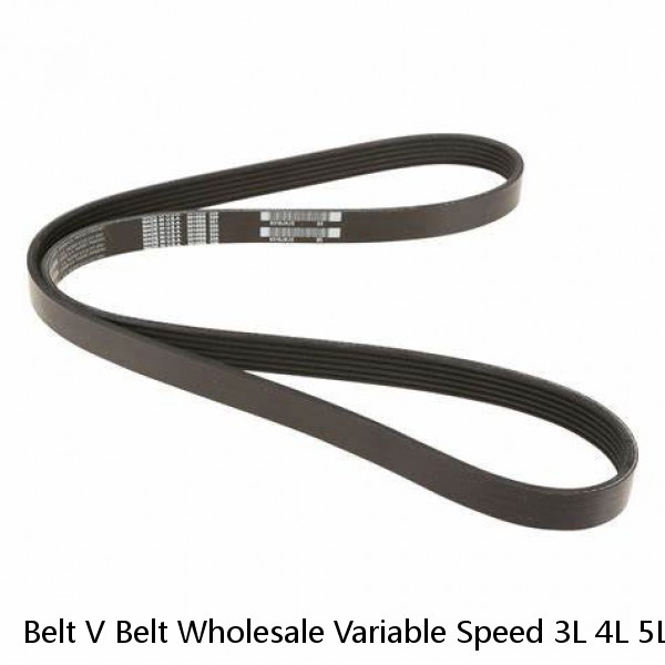 Belt V Belt Wholesale Variable Speed 3L 4L 5L Type Wrapped Bando V Belt For Compressor #1 image